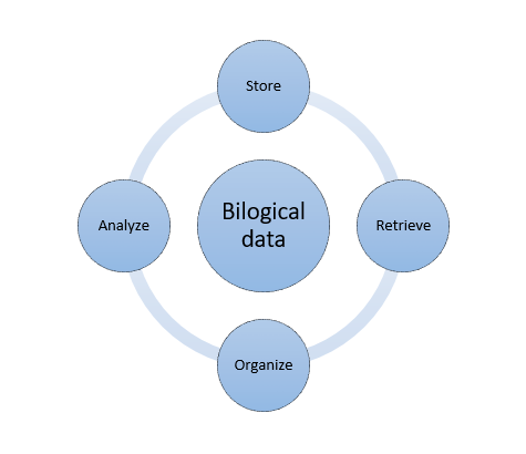 生物信息学的图表